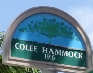 Colee_Hammock_1